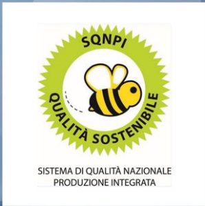 SQNPI-Zertifikat